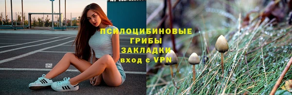 ГАЛЛЮЦИНОГЕННЫЕ ГРИБЫ Баксан
