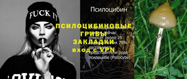 ГАЛЛЮЦИНОГЕННЫЕ ГРИБЫ Баксан