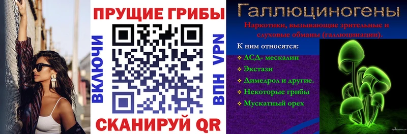 Купить где  Олонец  Псилоцибиновые грибы прущие грибы 