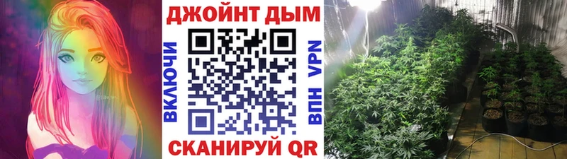 Каннабис конопля  Купить где  Олонец 
